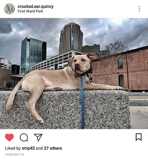 Quincy in the Queen&nbsp;City