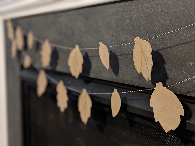 00100dPORTRAIT_00100_BURST20181109132346229_COVER (1).jpg